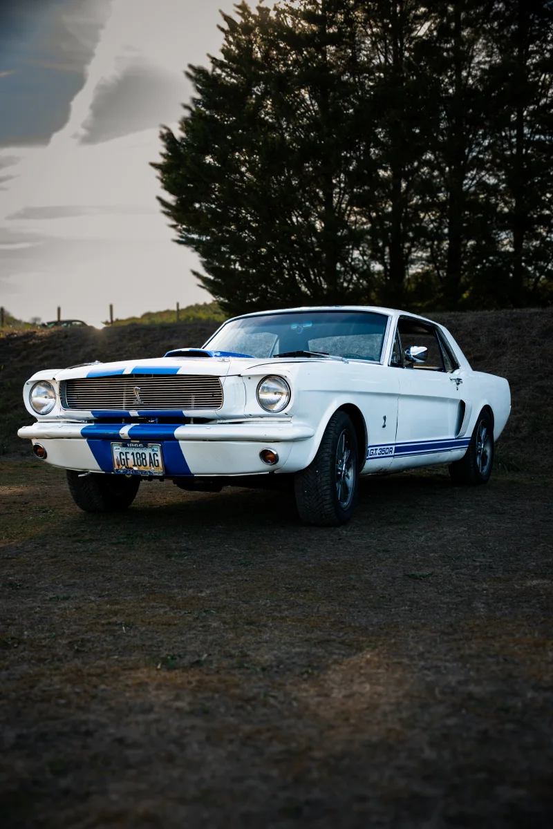 Mustang classique blanche à bandes bleues photographiée à Itteville