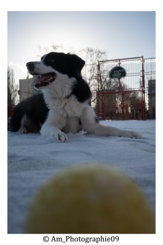 Photographie AM Photographie