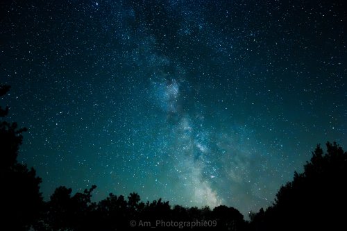 Photographie AM Photographie