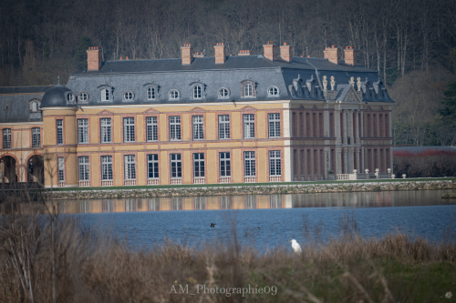 Photographie AM Photographie