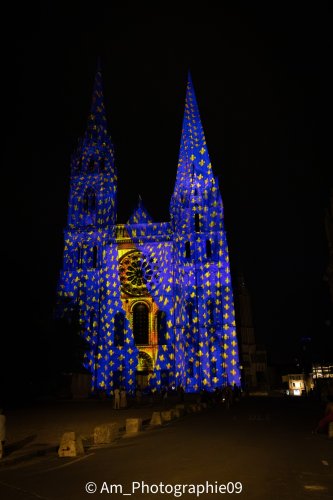 Cathédrale de Chartres illuminée — fleurs de lys