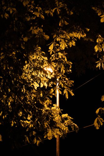 Nocturne