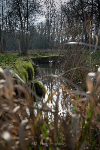 Photographie AM Photographie