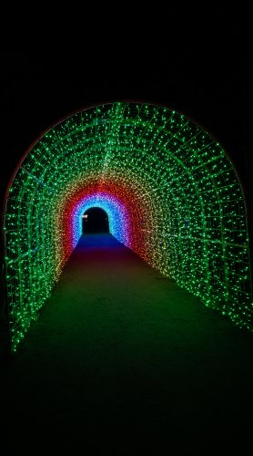 Tunnel de lumières — Lumières en Seine, Saint-Cloud