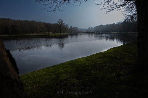 Photographie AM Photographie