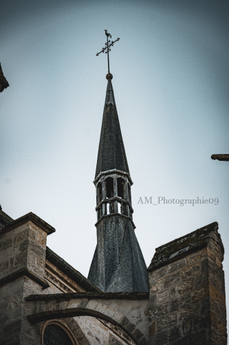 Clocheton et coq de l'église de Dourdan