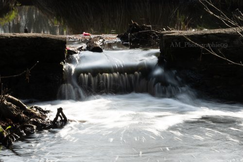 Photographie AM Photographie