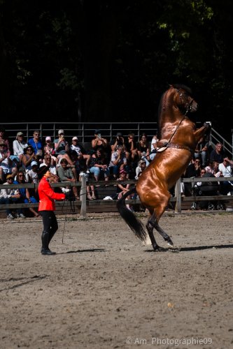 Photographie AM Photographie