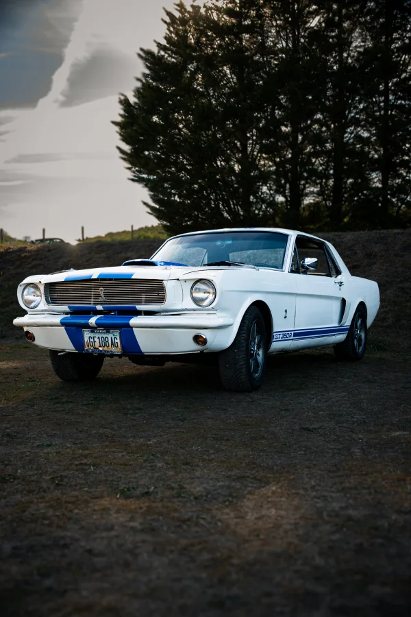 Mustang classique blanche à bandes bleues, vue de trois quarts