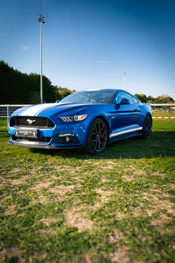 Ford Mustang GT bleue à bandes blanches sur une pelouse